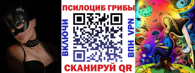 Галлюциногенные грибы Cubensis  Купить  Межгорье 